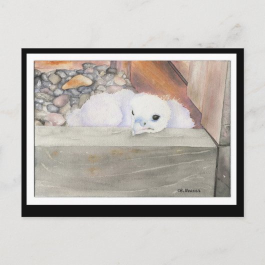 B.Briefkaart van het ontwerp van de weerstand Briefkaart (Voorkant)