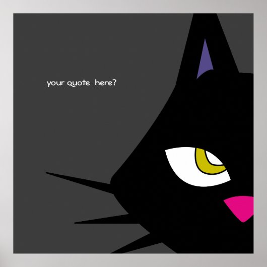 B-CAT POSTER (Voorkant)