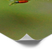 B-Fly en Ladybugs Poster (Hoek)