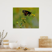 B-Fly en Ladybugs Poster (Keuken)