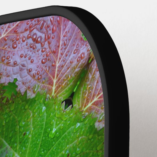 B & G Ikat 5 Pickleball Paddle (Links Detail)