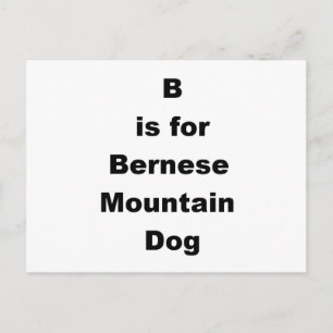 b is voor bernese berghond briefkaart