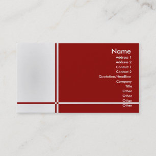 B-Professional-profielkaart Visitekaartje