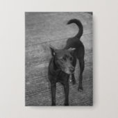 B&W - Aspin Button (Voorkant)