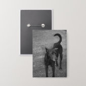 B&W - Aspin Button (Voorkant / Achterkant)