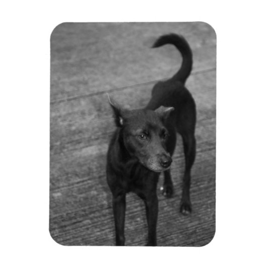 B&W - Aspin Magneet (Verticaal)