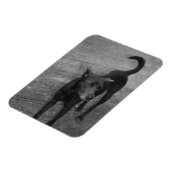 B&W - Aspin Magneet (Linkerzijde)