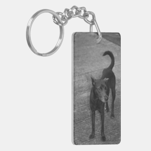 B&W - Aspin Sleutelhanger (Voorkant Links)