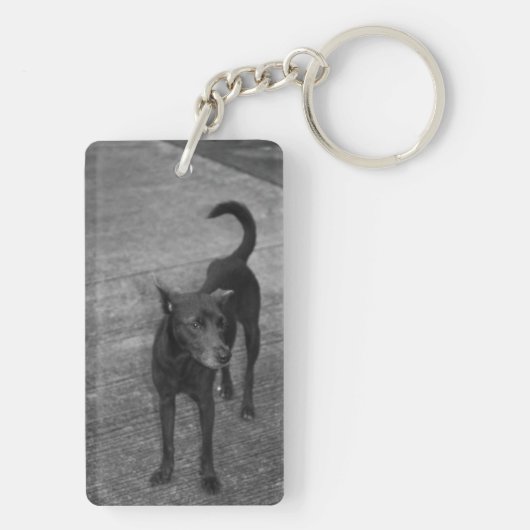 B&W - Aspin Sleutelhanger (achterkant)