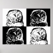 B/W Barred Owl Pop Art Poster (Voorkant)