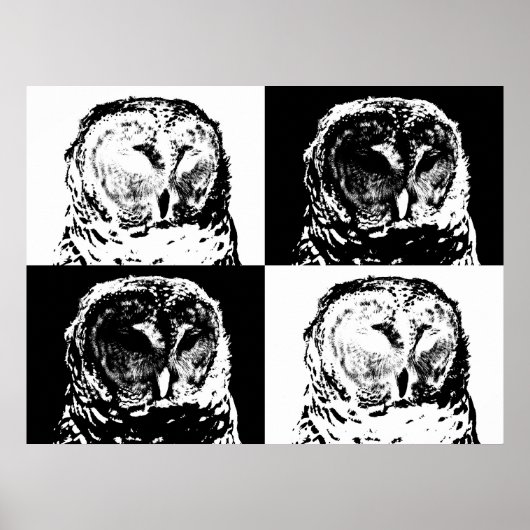 B/W Barred Owl Pop Art Poster (Voorkant)