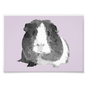 B&W 'Betty' Guinea Pig Print (Lijsten beschikbaar) Foto Afdruk
