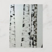 B&W-bomen Briefkaart (Voorkant)