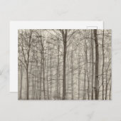 B&W bos met ochtendmist achter de bomen Briefkaart (Voorkant / Achterkant)