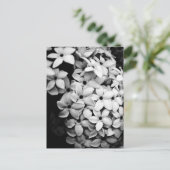 B&W BRIEFKAART (Staand voorkant)