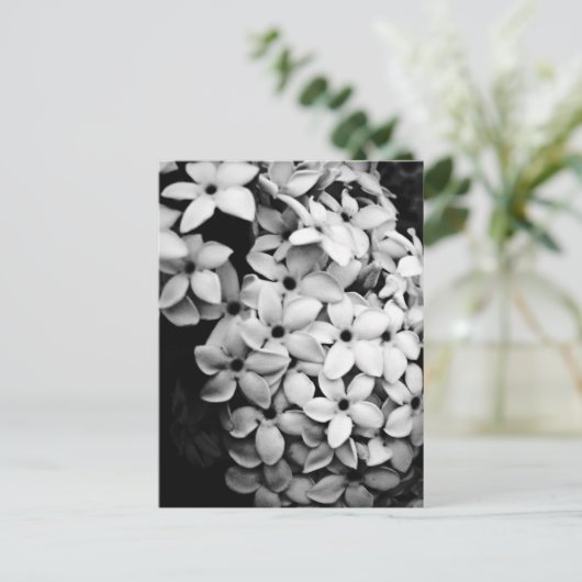 B&W BRIEFKAART (Staand voorkant)