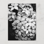 B&W BRIEFKAART (Voorkant)