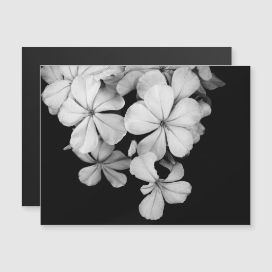 b&w-card (Voorkant / Achterkant)