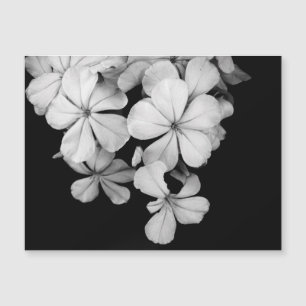 b&w-card