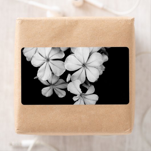 b&w-card etiket (Insitu)