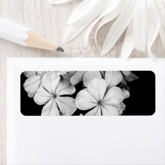 b&w-card etiket (Insitu)