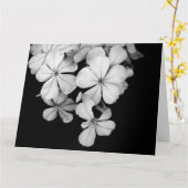 b&w-card kaart (Gele Bloem)