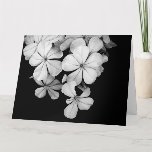 b&w-card kaart (Voorkant)