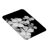 b&w-card magneet (Rechterzijde)