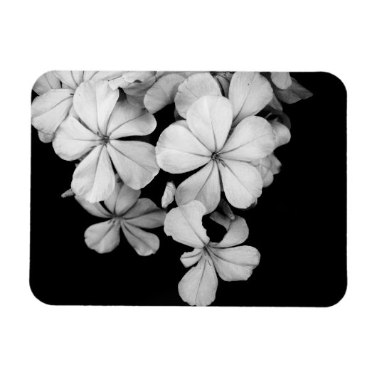 b&w-card magneet (Horizontaal)