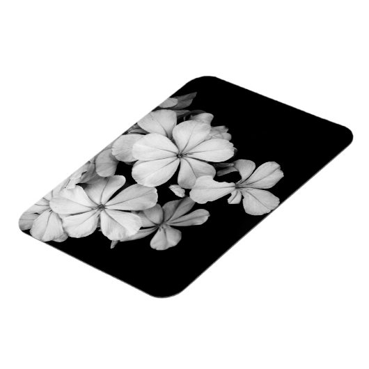 b&w-card magneet (Linkerzijde)