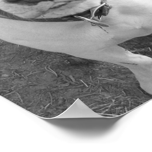 B/W Chevy Poster (Hoek)