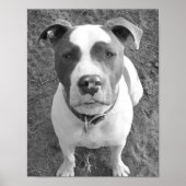 B/W Chevy Poster (Voorkant)