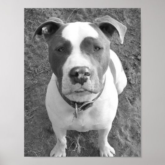 B/W Chevy Poster (Voorkant)