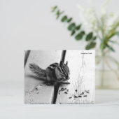 B&W Chipmunk Squirrel Postcard Briefkaart (Staand voorkant)