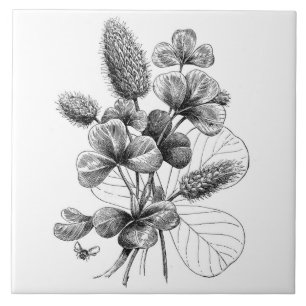 B&W Clover Bouquet Tegeltje