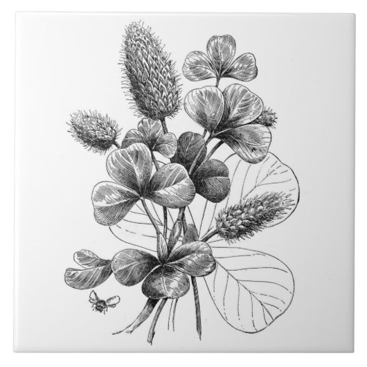 B&W Clover Bouquet Tegeltje (Voorkant)