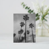 B&W de palmen van Los Angeles Briefkaart (Staand voorkant)