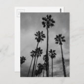 B&W de palmen van Los Angeles Briefkaart (Voorkant / Achterkant)