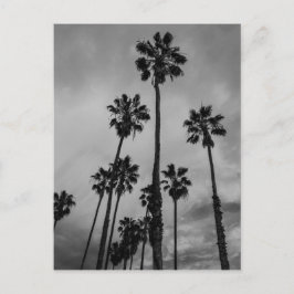 B&W de palmen van Los Angeles Briefkaart