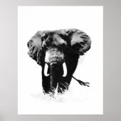 B&W Elephant Posters Prints (Voorkant)