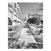 B&W FOTO AFDRUK (Voorkant)