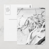  B&W Foto van Florida Bikini Girls Briefkaart (Voorkant / Achterkant)