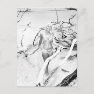 B&W Foto van Florida Bikini Girls Briefkaart