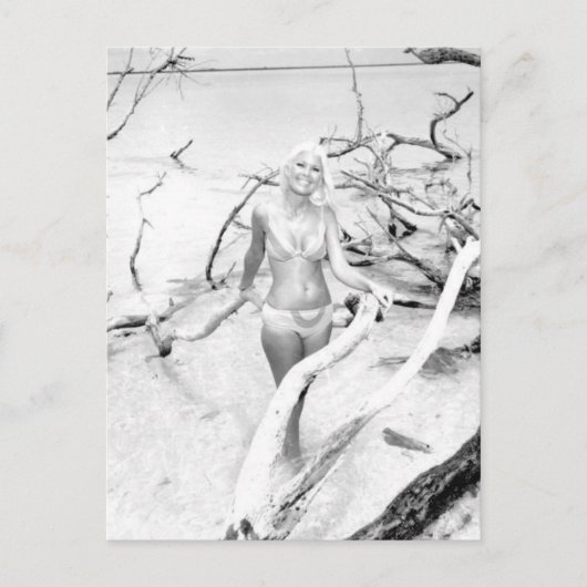  B&W Foto van Florida Bikini Girls Briefkaart (Voorkant)