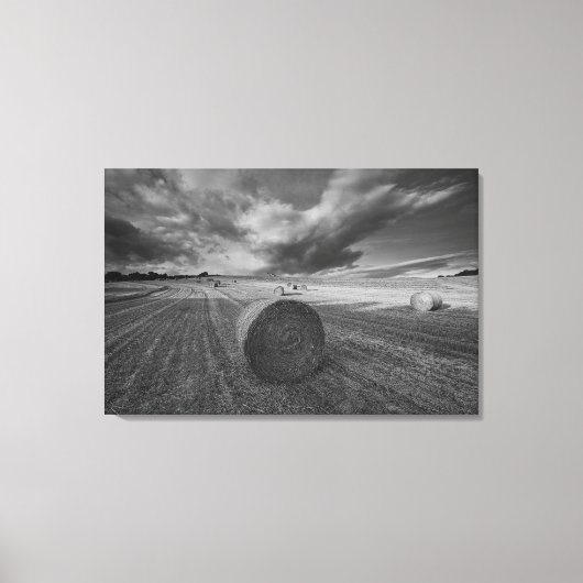 B&W Gerstveld 2 Canvas Afdruk (Voorkant)