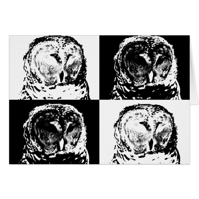 B/W Gestreepte Uil Pop Art (Voorkant Horizontaal)