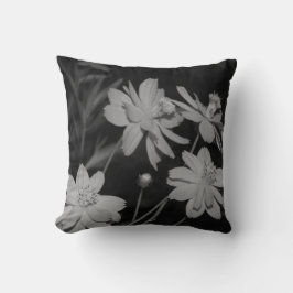 B&W - Groep van Zwavelkosmos Kussen