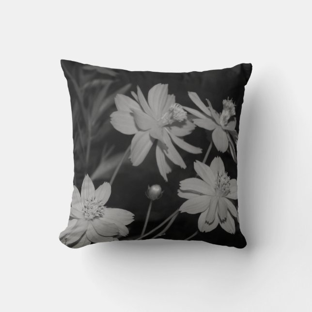 B&W - Groep van Zwavelkosmos Kussen (Voorkant)