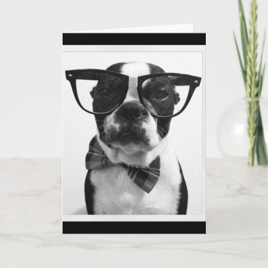 B&W Hipster Nerd Boston Terrier Kaart (Voorkant)