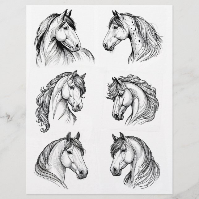  B & W Horse Head Line Art Drawings (Voorkant)